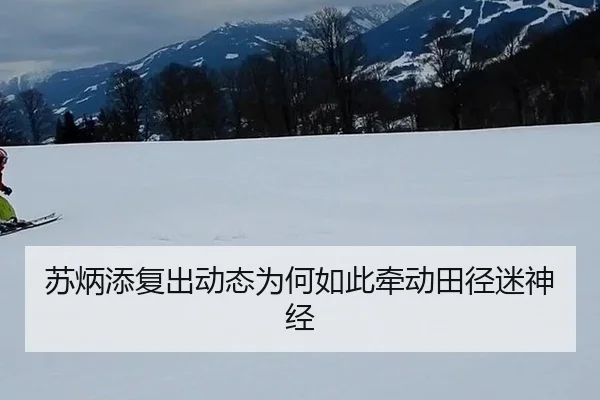 苏炳添复出动态为何如此牵动田径迷神经（mk.com）